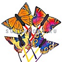 Butterfly Kite R