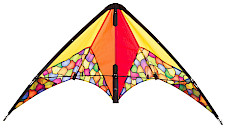 Calypso ll Dazzling Colors