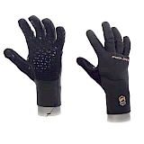 Polar Glove 2 Layer