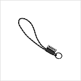 Lanyard