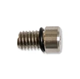 COBRA Airvalve screw + rubber ring