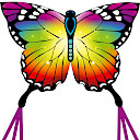 Butterfly Kite Rainbow 120 cm