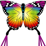 Butterfly Kite Rainbow 120 cm