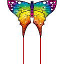 Butterfly Rainbow 110 cm
