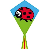 Eddy Ladybug 70 cm