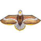 Bird Kite Eagle