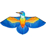Bird Kite Kingfisher