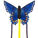 Butterfly Kite Swallowtail Blue "R"