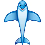Dolphin Kite 200cm