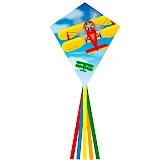 Eddy Classic Biplane 70 cm