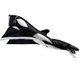 Parafoil Kite Orca