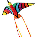 Tropical Bird